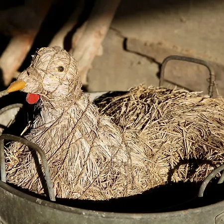 ファームステイ Tenuta Guazzaura Cereseto